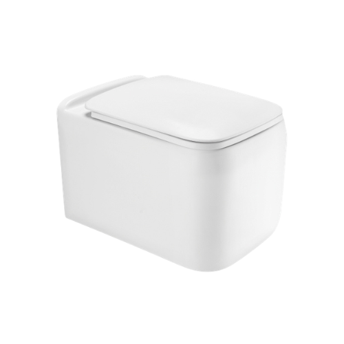 Cauliv Wall Hung Toilet with Soft Close Seat Premium WC Ahmedabad