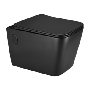 Caane Matte Black Wall Hung Toilet with Soft Close Seat Ahmedabad